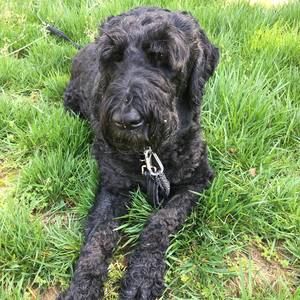 Meet your Posher, Paula